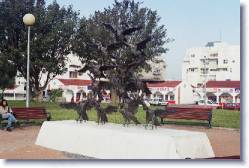 6 - A Square in Ashkelon